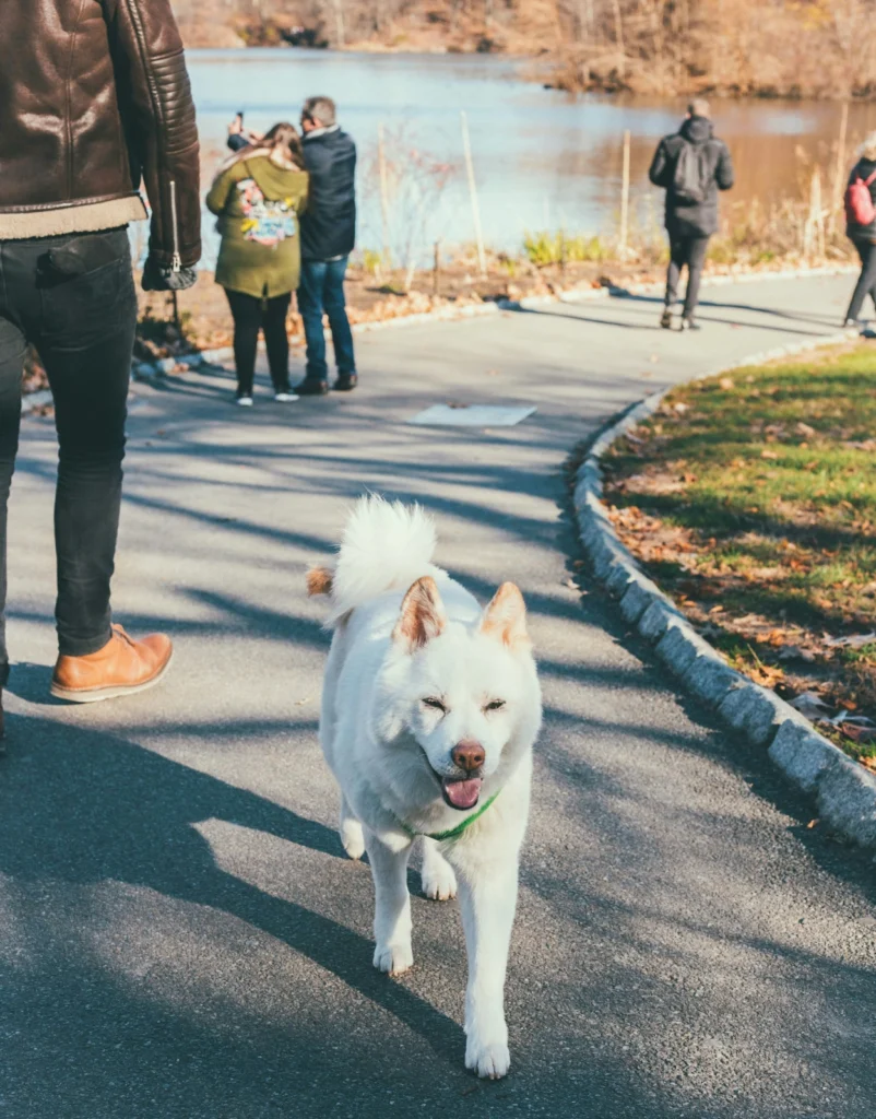 image02 commercial spotlight 04