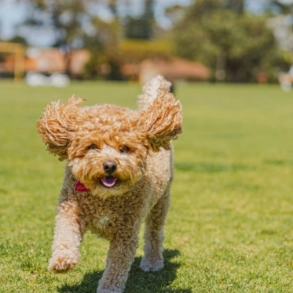 image02 spotlight reviews