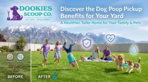 Why Professional Dog Poop Pickup Is Essential for Your Yard, Family, and Pets